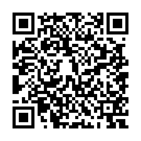 QR code for PLN0538