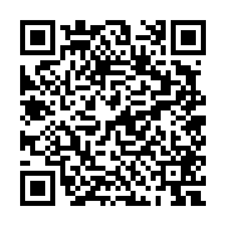 QR code for PNG4493