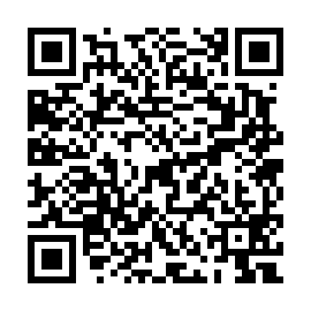 QR code for PNS4995