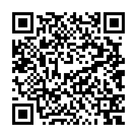 QR code for PPD0333