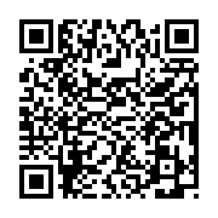 QR code for PPS4398