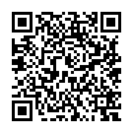 QR code for PPZ8294