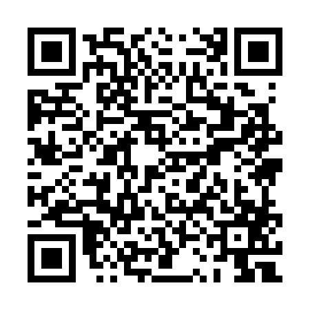 QR code for PSI3878