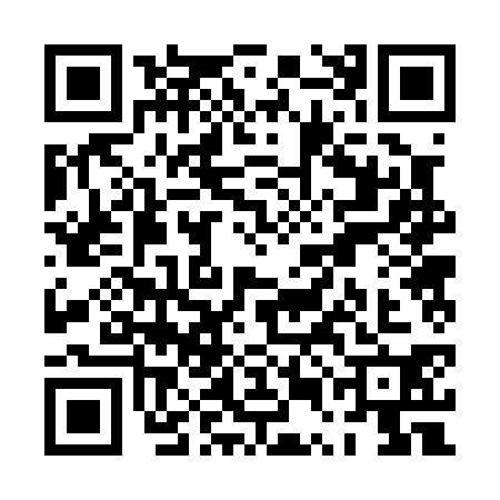 QR code for PUB0304