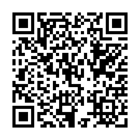 QR code for PUG6223