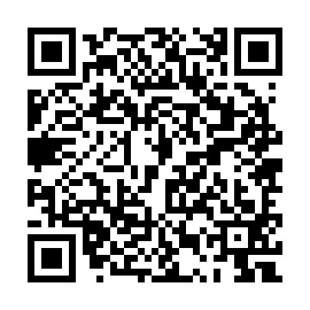 QR code for PUZ2938