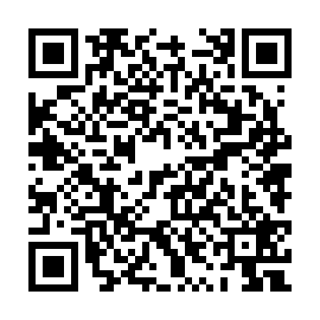 QR code for PYN2291
