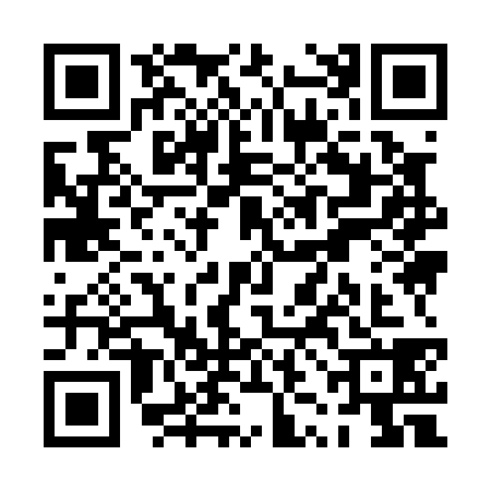 QR code for PZI0389