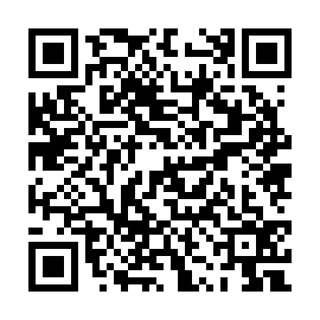 QR code for PZJ2369