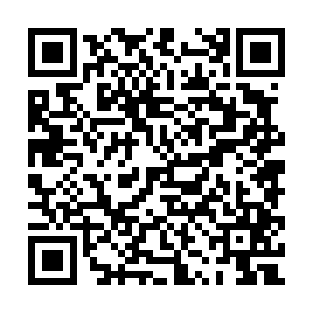 QR code for PZN4453