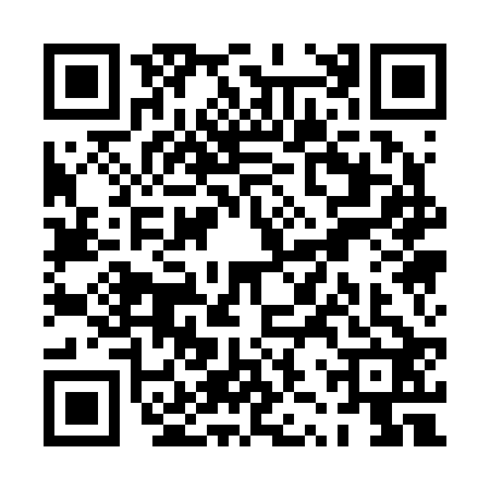 QR code for PZQ2221