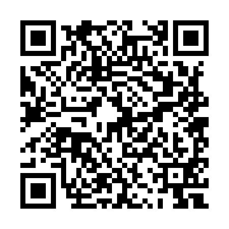 QR code for PZR9913