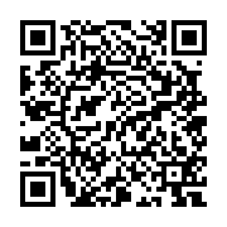 QR code for QAG0136