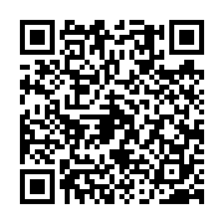 QR code for QDD6729