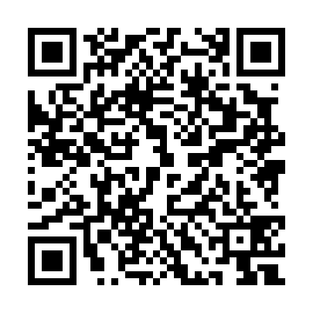QR code for QDH0393