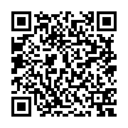 QR code for QDQ8313