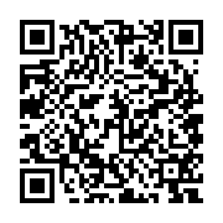 QR code for QFF2541