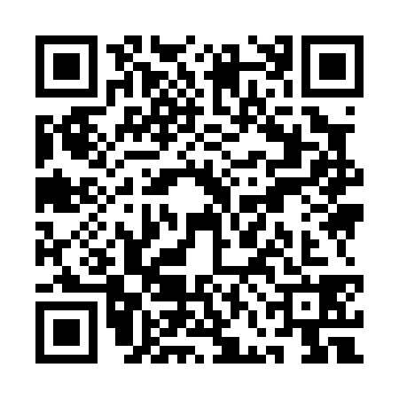 QR code for QFI0383