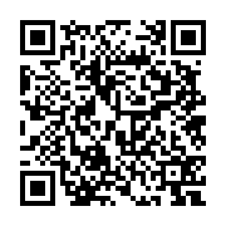 QR code for QGB4369