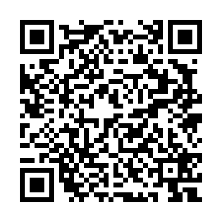 QR code for QIA4292