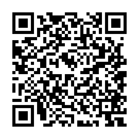 QR code for QIN1496