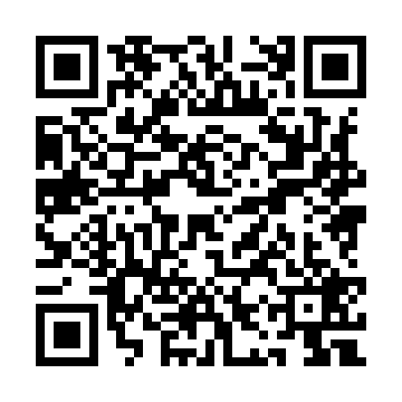 QR code for QIX9295
