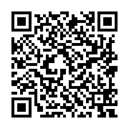 QR code for QLI9995