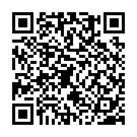 QR code for QLQ2382