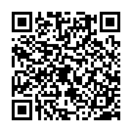 QR code for QLT3070