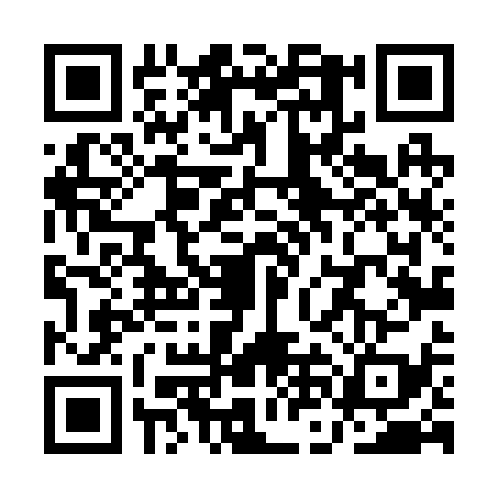 QR code for QNL2398