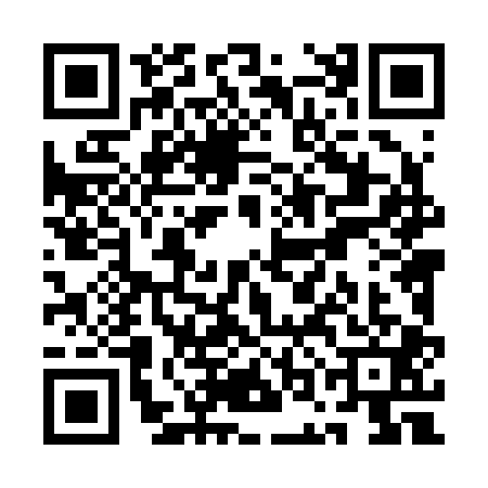 QR code for QOL2010