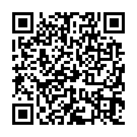 QR code for QYS3119