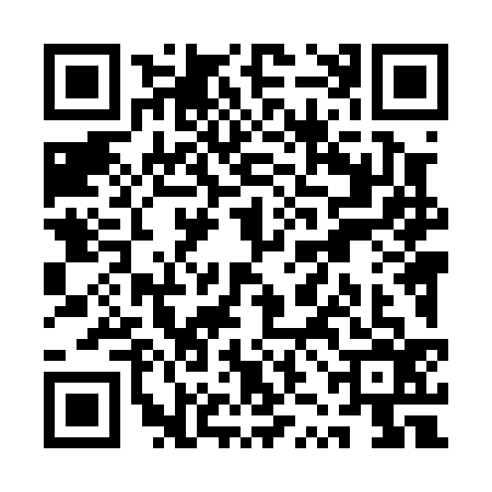 QR code for QZL0365