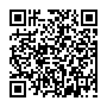 QR code for QZR0441