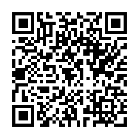 QR code for QZX0229