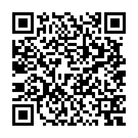 QR code for QZZ4729