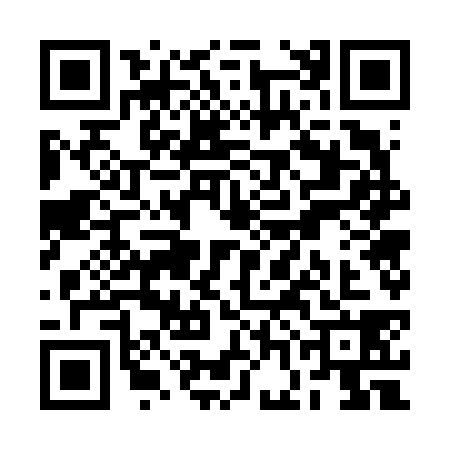 QR code for RGG6383