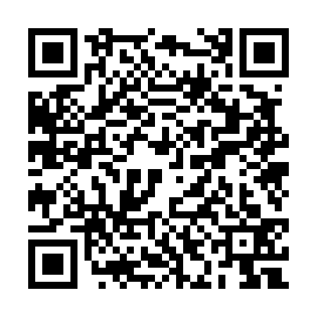 QR code for RIO4338