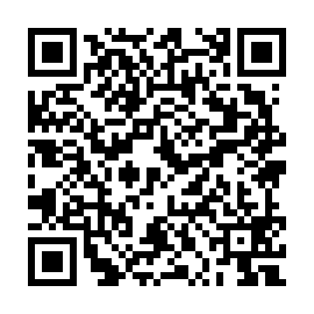 QR code for RPI6993