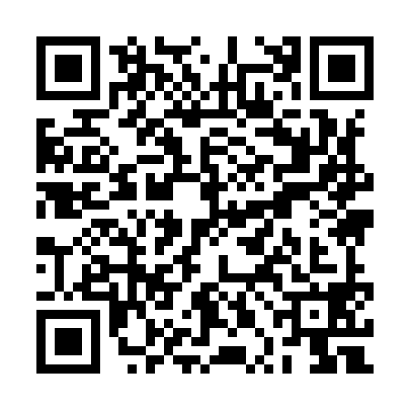 QR code for RPI9987
