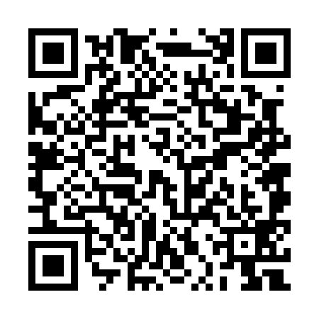 QR code for RPV0991