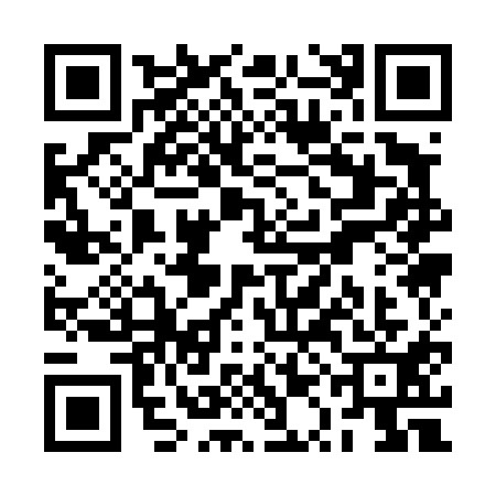 QR code for RQA4113