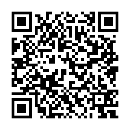 QR code for RYX5336