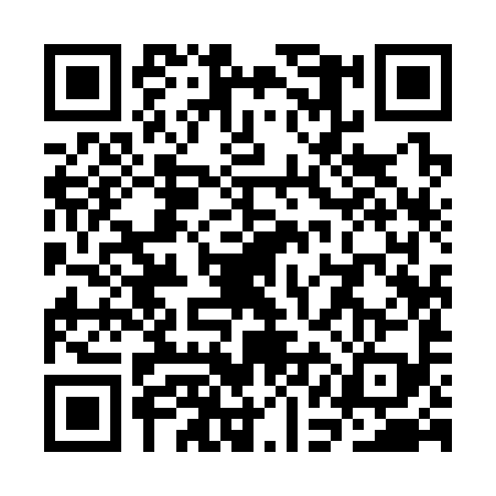 QR code for SAI3993