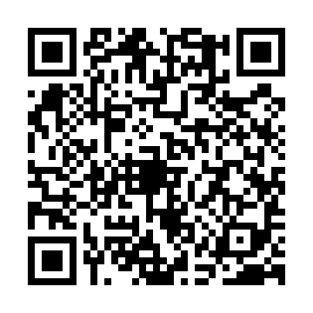 QR code for SAY5991