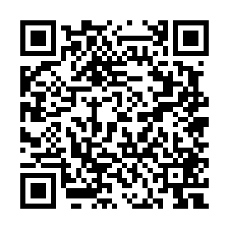 QR code for SFE4491