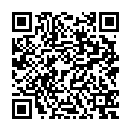 QR code for SHM0333