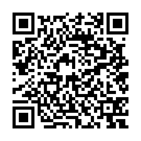 QR code for SIG0349