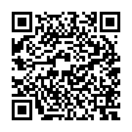 QR code for SIG2496