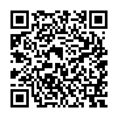 QR code for SIG2805